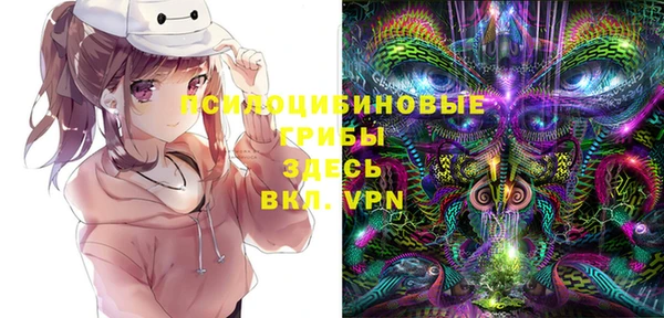 дмт Сосновый Бор