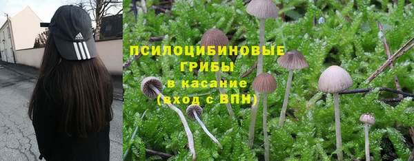 дмт Сосновый Бор