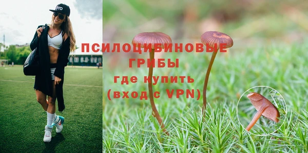 дмт Сосновый Бор