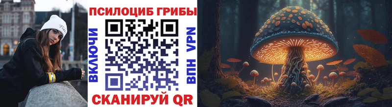 Галлюциногенные грибы MAGIC MUSHROOMS  Купить  Куртамыш 