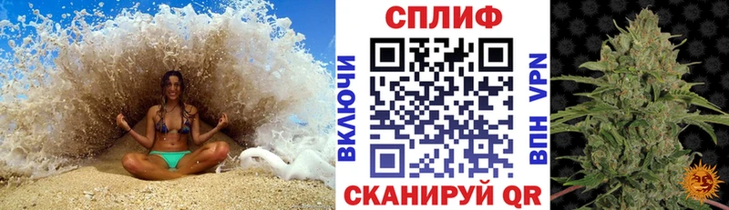 Марихуана план  Купить где  Куртамыш 